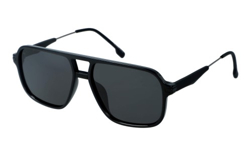 Polarzone 1125-1 skos.jpg