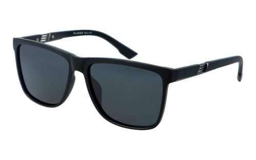 Polarzone 1129-1M skos.jpg