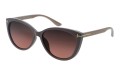 Cote Exclusive 469-15 skos.jpg