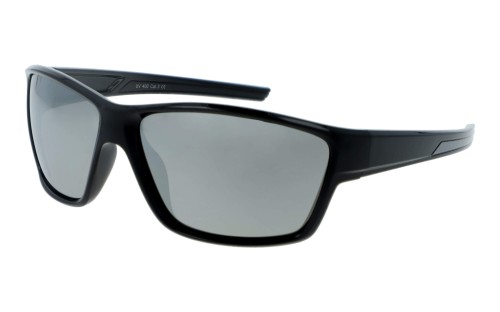 Speed polarized 199L-4 skos.jpg
