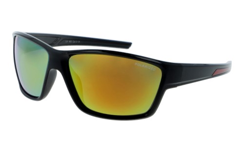 Speed polarized 199L-8 skos.jpg