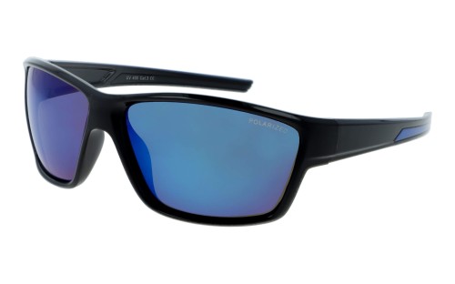 Speed polarized 199L-10 skos.jpg
