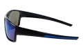 Speed polarized 199L-10 bok.jpg