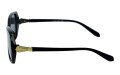 Revers polarized 237-1 bok.jpg