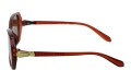 Revers polarized 237-2 bok.jpg