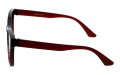 Revers polarized 238-2 bok.jpg