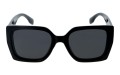 Revers polarized 239-1 przód.jpg