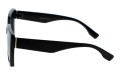 Revers polarized 239-1 bok.jpg