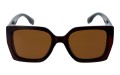 Revers polarized 239-2 przód.jpg