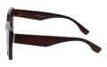 Revers polarized 239-2 bok.jpg