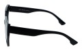 Revers polarized 242-1 bok.jpg