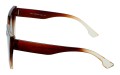 Revers polarized 242-2 bok.jpg