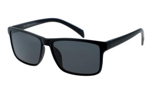 Revers Polarized 65-1 