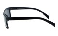 Revers polarized 65-1 bok.jpg