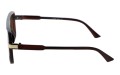 Revers polarized 67-2 bok.jpg