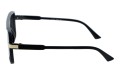 Revers polarized 67-3 bok.jpg