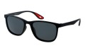 Revers polarized 68-1 skos.jpg