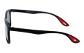 Revers polarized 68-1 bok.jpg
