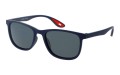 Revers polarized 68-10 skos.jpg