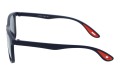 Revers polarized 68-10 bok.jpg