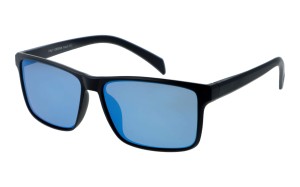 Revers Polarized 66-10