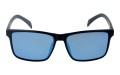 Revers polarized 66-10 przód.jpg