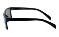 Revers polarized 66-10 bok.jpg