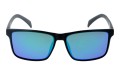 Revers polarized 66-11 przód.jpg