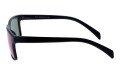 Revers polarized 66-11 bok.jpg