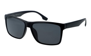 Revers Polarized 69-1