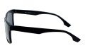 Revers polarized 69-1 bok.jpg