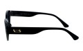 Revers polarized 241-1 bok.jpg