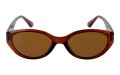 Revers polarized 241-2 przód.jpg