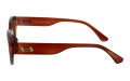 Revers polarized 241-2 bok.jpg
