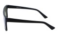Revers polarized 71-10 bok.jpg