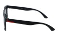 Revers polarized 72-8 bok.jpg