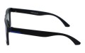 Revers polarized 72-10 bok.jpg