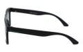 Revers polarized 72-11 bok.jpg