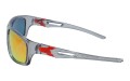 Revers polarized 60-8 bok.jpg