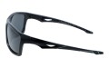 Revers polarized 62-1 bok.jpg
