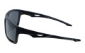 Revers polarized 62-1M bok.jpg
