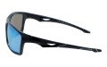 Revers polarized 63-10 bok.jpg