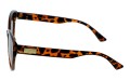 Revers polarized 236-13 bok.jpg