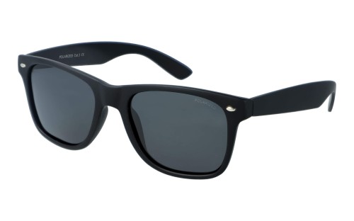 Polarzone 700-1M skos.jpg