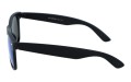 Polarzone 701-10 bok.jpg