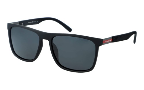 Polarzone 704-1M skos.jpg