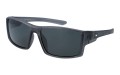 Polarzone 1133-3 skos.jpg