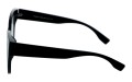 Polarzone 1081K-1 bok.jpg