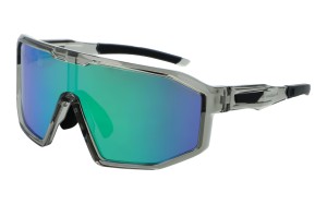 PolarZone 486-11 z etui