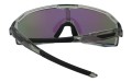 Polarzone 486-11 tył.jpg